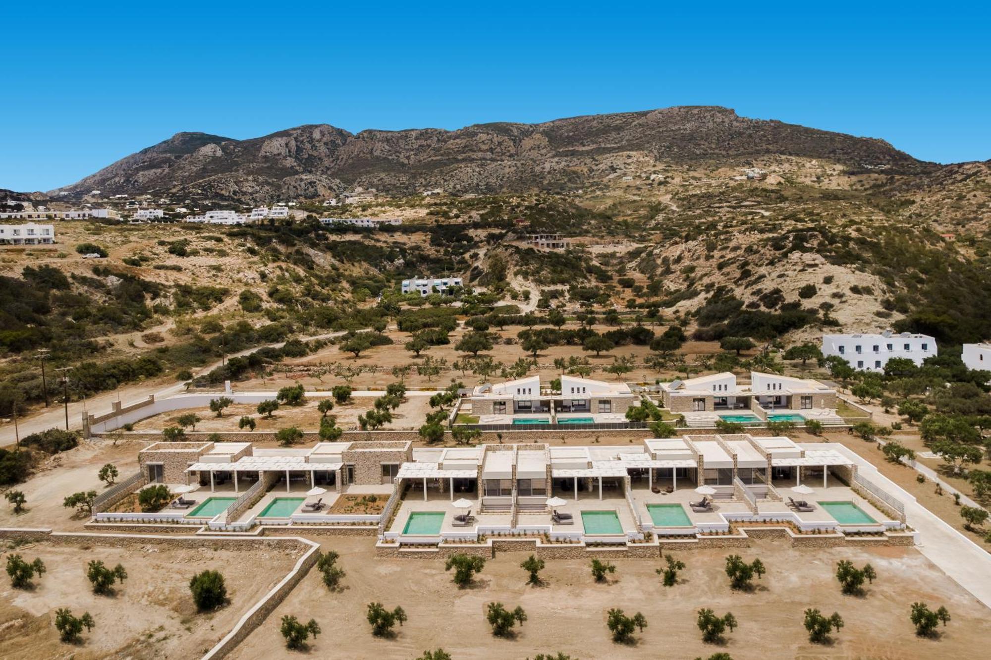 Orelia Luxury